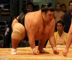 yapboz Sumo güreşçisi mücadele için hazır